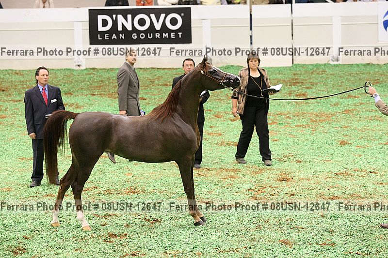 Proof 08usn-12647