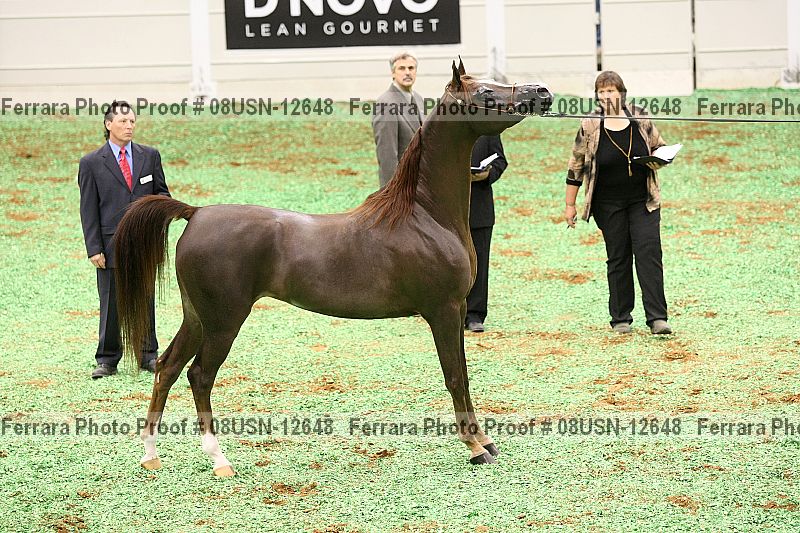 Proof 08usn-12648