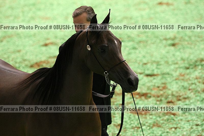 Proof 08usn-11658