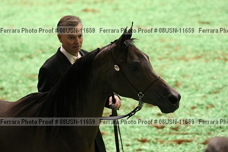 Proof 08usn-11659