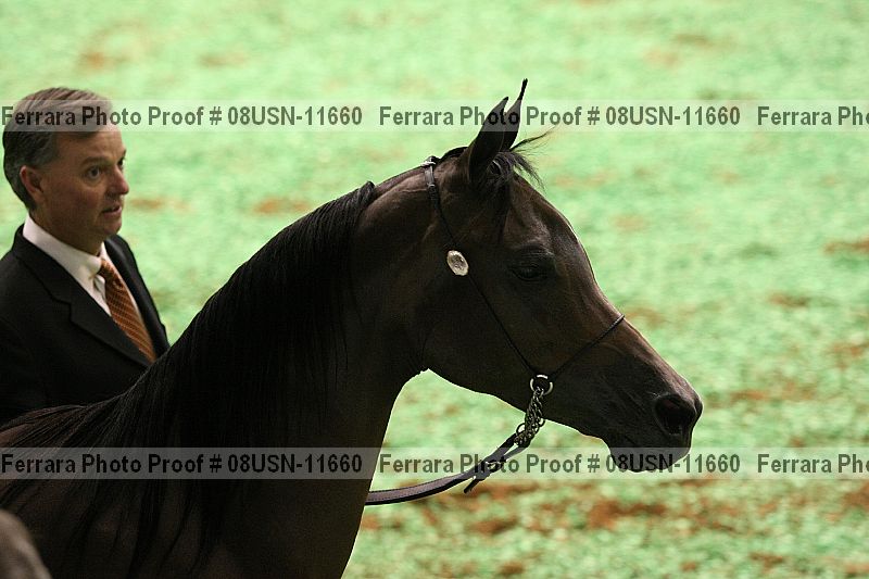 Proof 08usn-11660