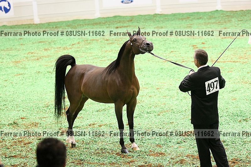 Proof 08usn-11662