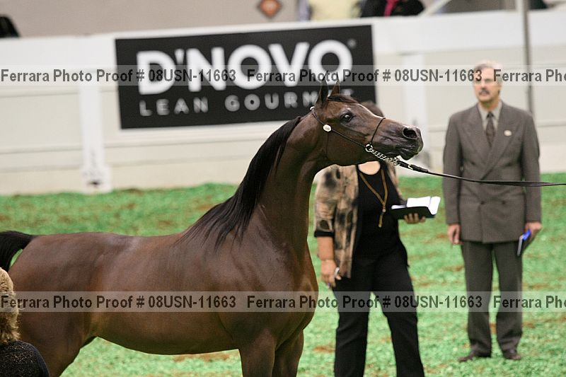 Proof 08usn-11663