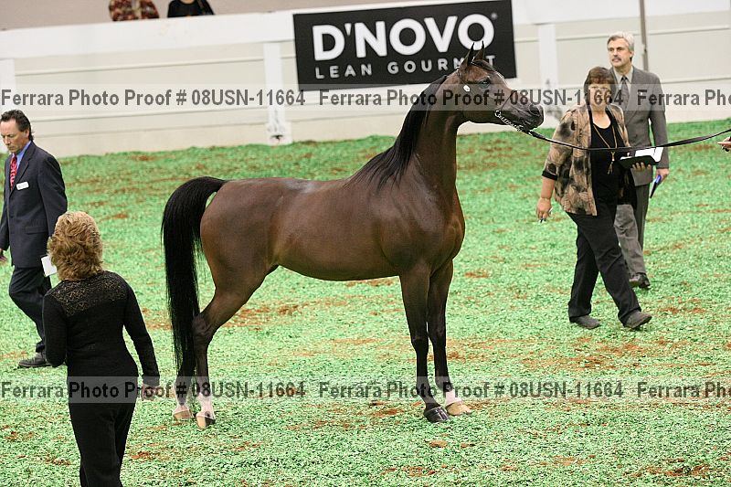Proof 08usn-11664