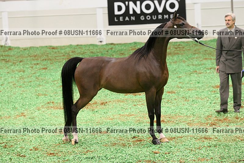 Proof 08usn-11666