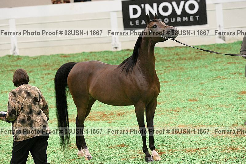 Proof 08usn-11667