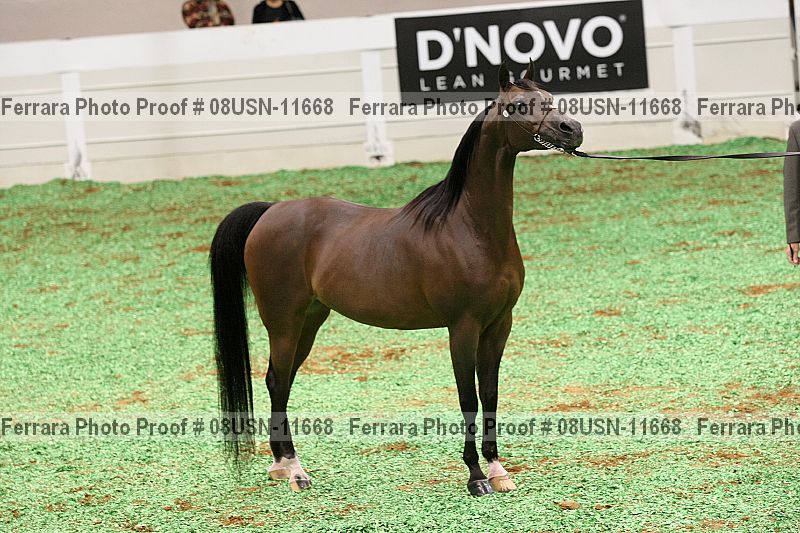 Proof 08usn-11668