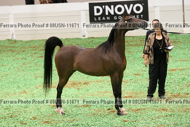 Proof 08usn-11671
