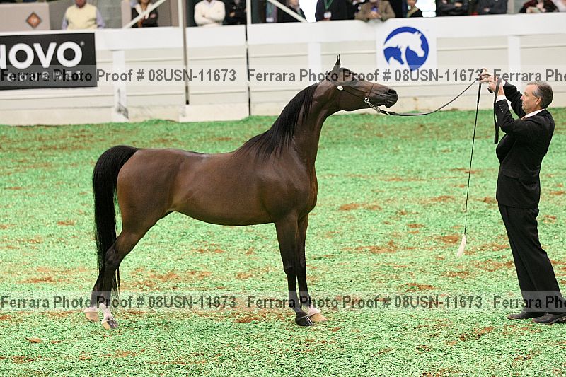 Proof 08usn-11673