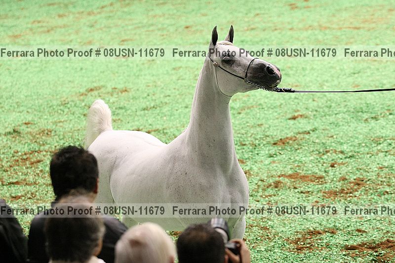 Proof 08usn-11679
