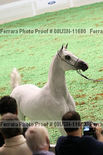 Proof 08usn-11680