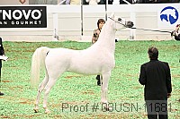 08usn-11681 proof