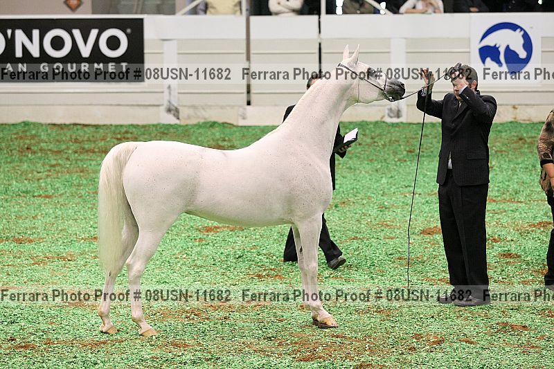 Proof 08usn-11682