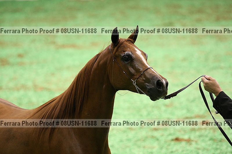 Proof 08usn-11688