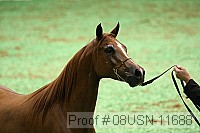 08usn-11688 proof