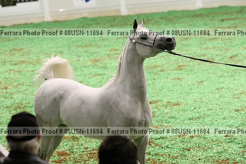 Proof 08usn-11694