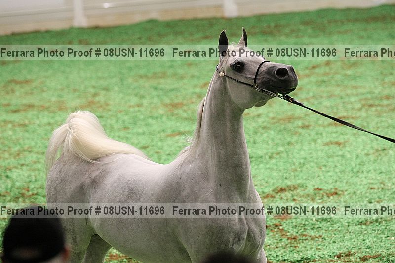 Proof 08usn-11696