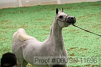 08usn-11696 proof