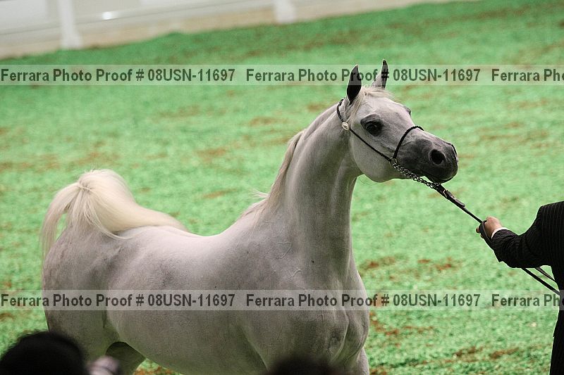 Proof 08usn-11697
