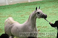 08usn-11697 proof