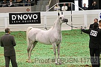 08usn-11702 proof