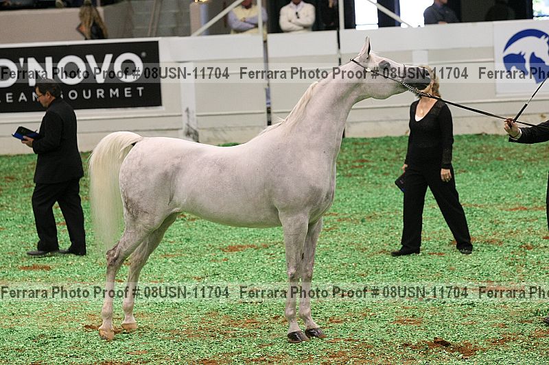 Proof 08usn-11704