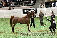 08usn-11708 proof