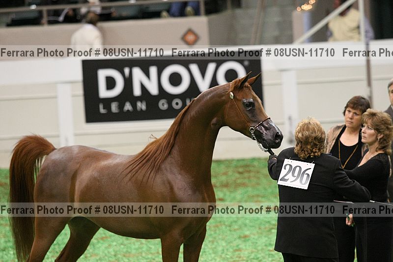 Proof 08usn-11710