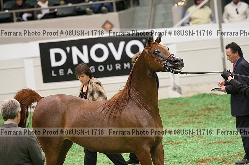 Proof 08usn-11716
