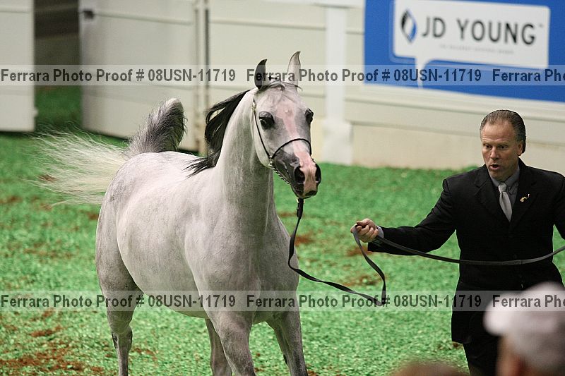 Proof 08usn-11719