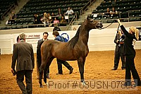 08usn-07806 proof