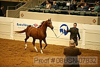 08usn-07832 proof