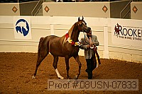 08usn-07833 proof