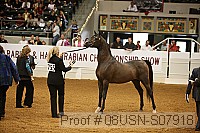 08usn-s07918 proof