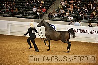 08usn-s07919 proof
