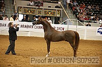 08usn-s07922 proof
