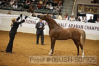 08usn-s07925 proof
