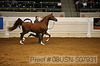 08usn-s07931 proof