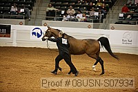 08usn-s07934 proof