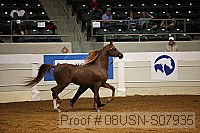 08usn-s07935 proof
