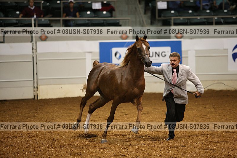 Proof 08usn-s07936