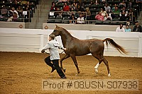 08usn-s07938 proof