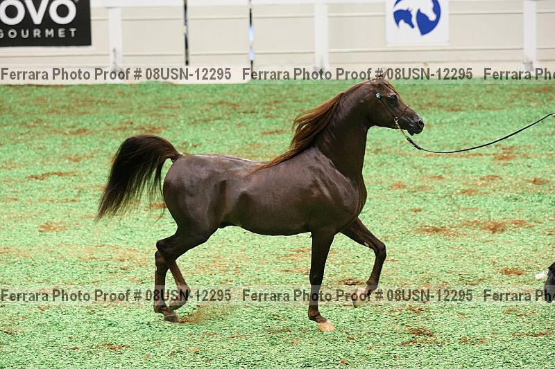 Proof 08usn-12295