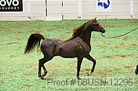 08usn-12295 proof