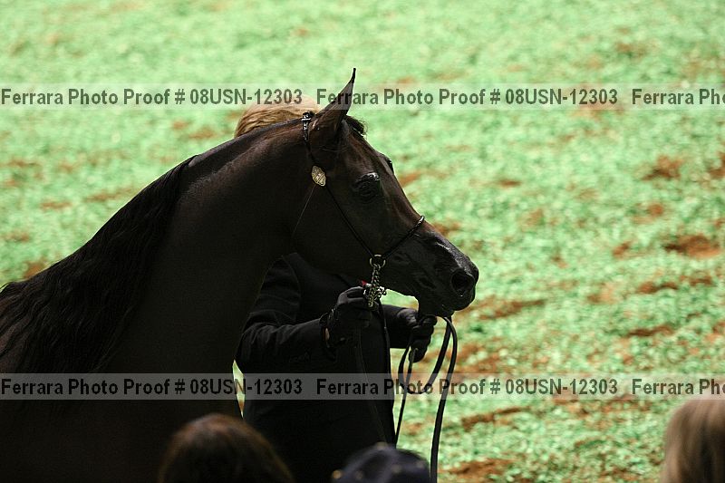 Proof 08usn-12303