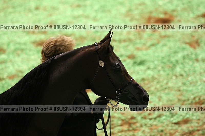 Proof 08usn-12304