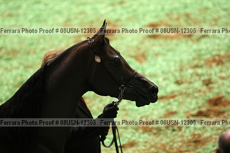 Proof 08usn-12305
