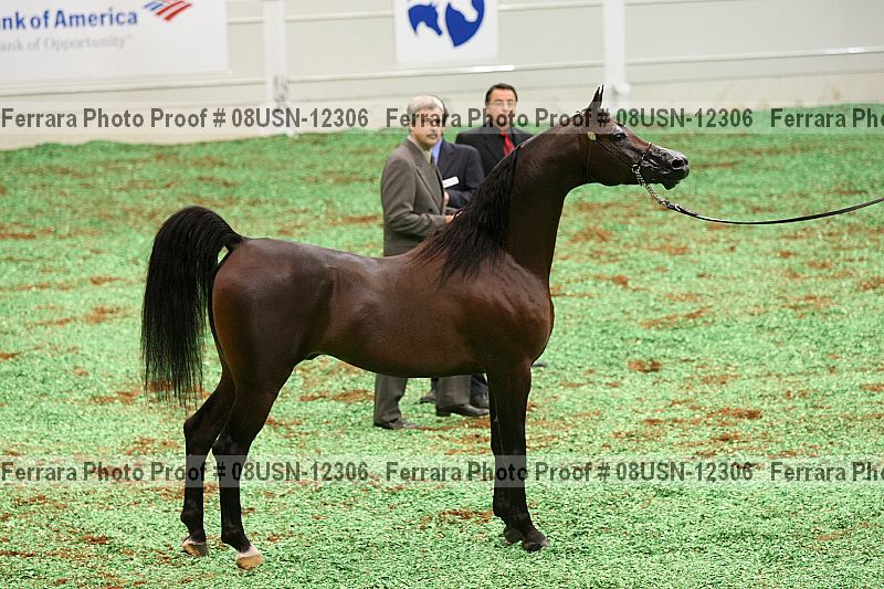 Proof 08usn-12306