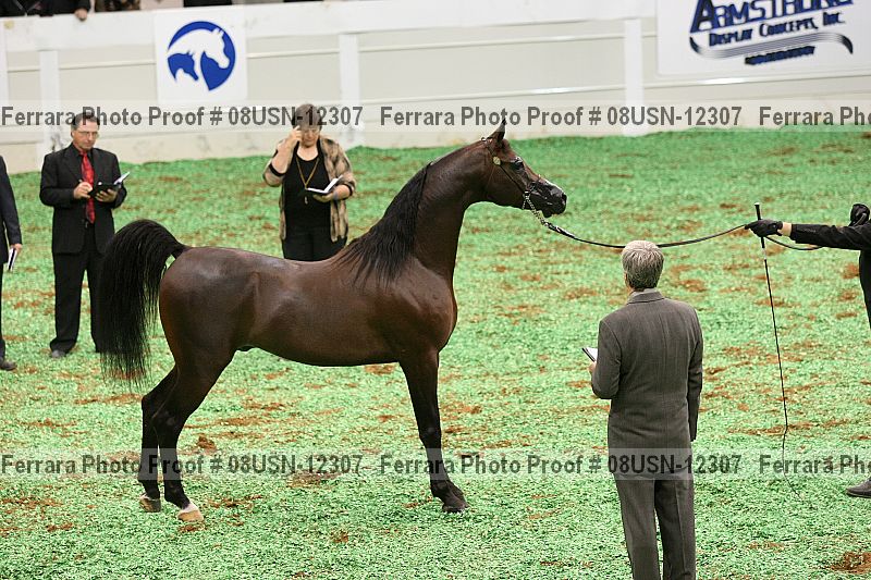 Proof 08usn-12307
