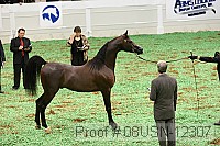 08usn-12307 proof